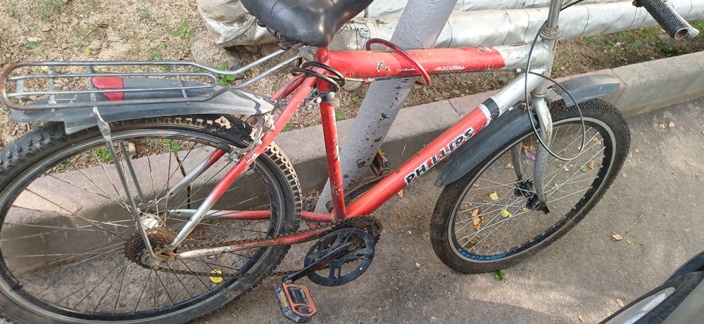 Velik xolati yaxshi