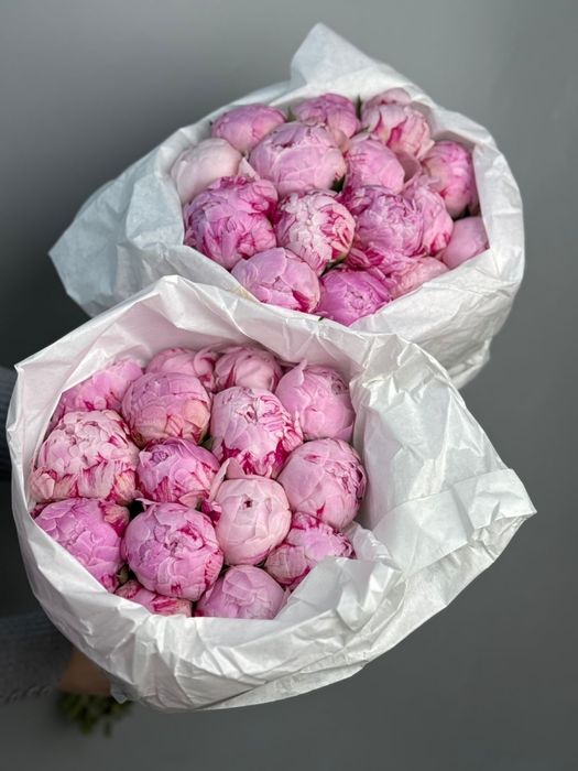 Пионы Пионы Пионы