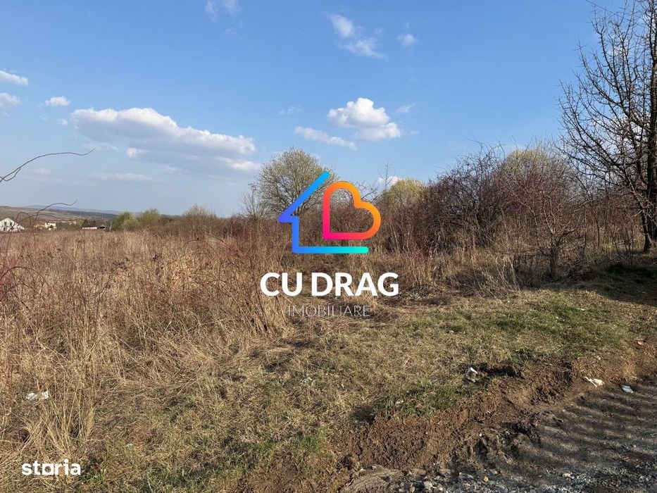 Teren intravilan cu toate utilitatile si drum amenajat Daia