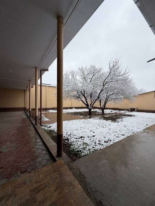 Круг Рохат Олмос Махалля  Дом 8 соток