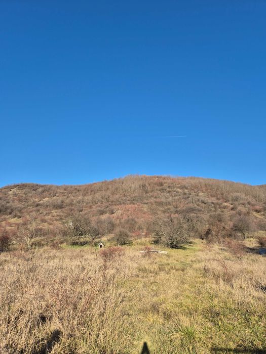 Teren intravilan Aninoasa, com. Viforata, 2000 mp parcelabil