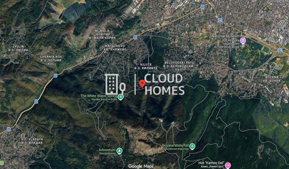 Продава се Парцел в София, Бояна - 2886 кв.м за 170 €/кв.м - Снимка #2