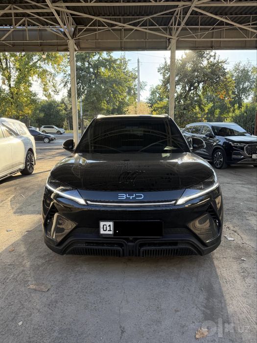 Byd yuan up 2025