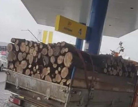 Lemn de foc esență tare