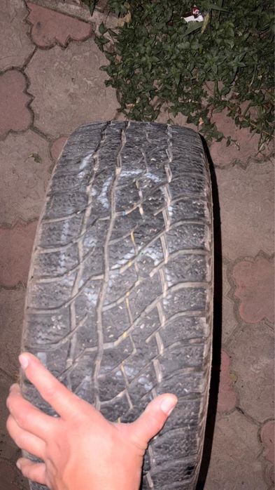215/55/17 зимний триангл