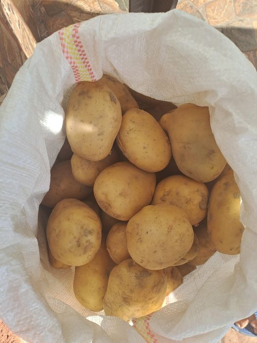 Vand cartofi albi si rosii