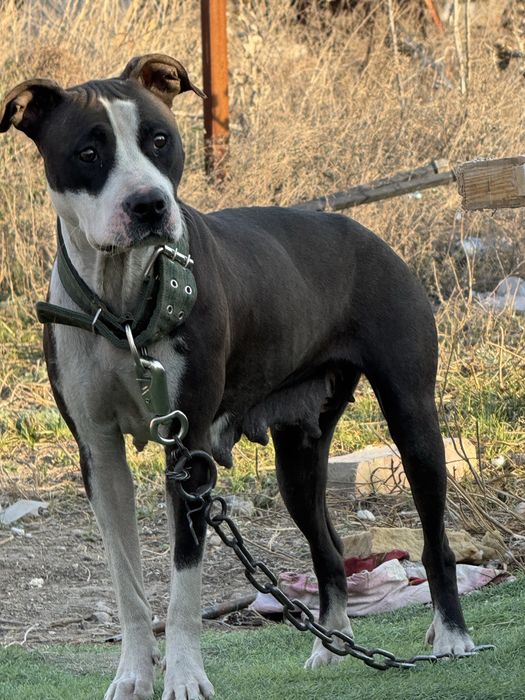 Обмен или продажа