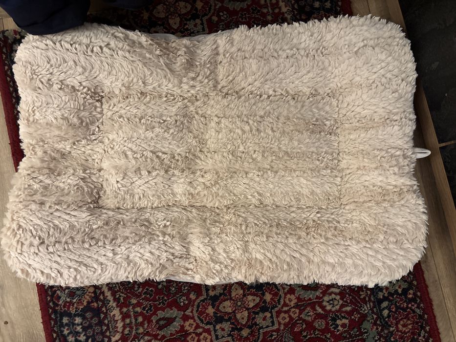 Кокер шпаньол на 6месеца