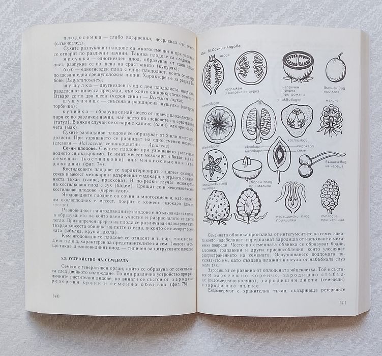 Ботаника  Учебник по ботаника 
Иван Асенов, Йосиф Бенбасат
Иван Асенов