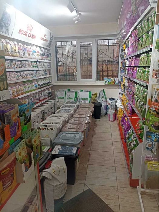 Зоомагазин помещение