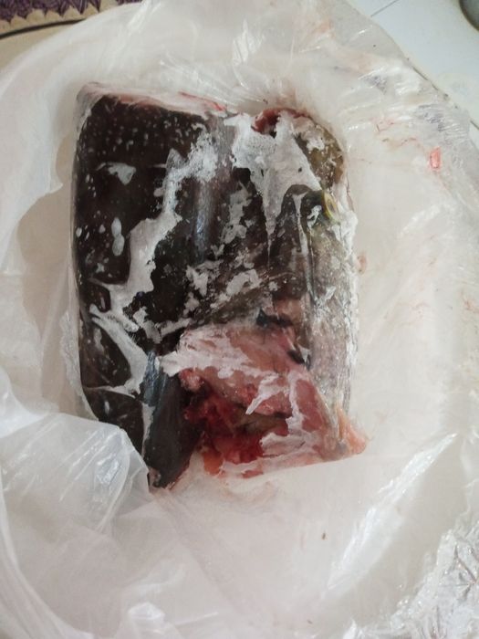 Отдам бесплатно.