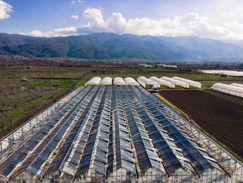 Продава се Земеделски имот в Петрич -  кв.м за 13 €/дка - Снимка #7