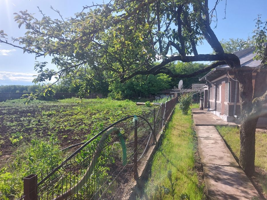 Casa de vânzare cu 2400 mp și pădure de salcâm 3200mp