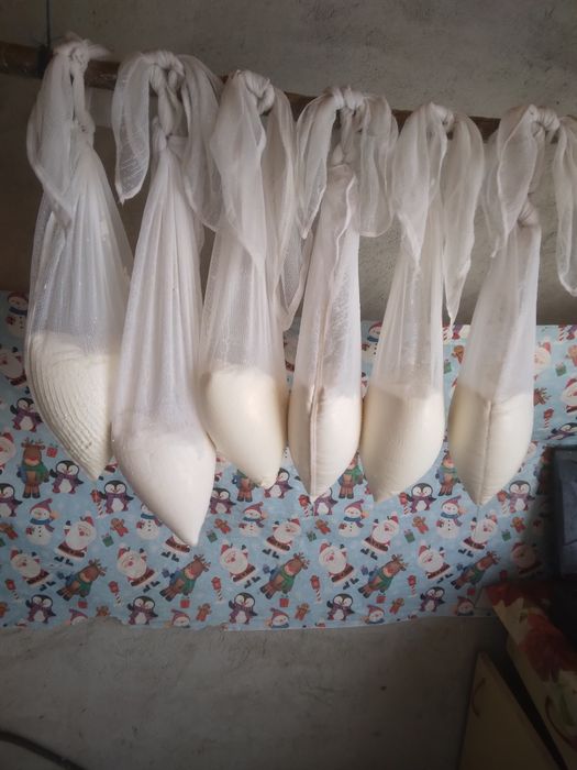 Branza proaspătă oaie și capră.