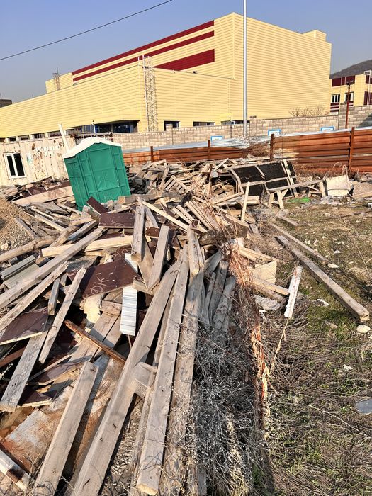 Отдам дерево бесплатно