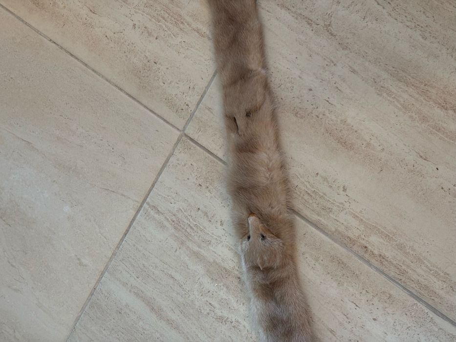 Caciula/bereta nurca si guler