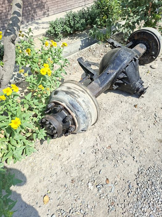 Крокодил мос 41 талик
