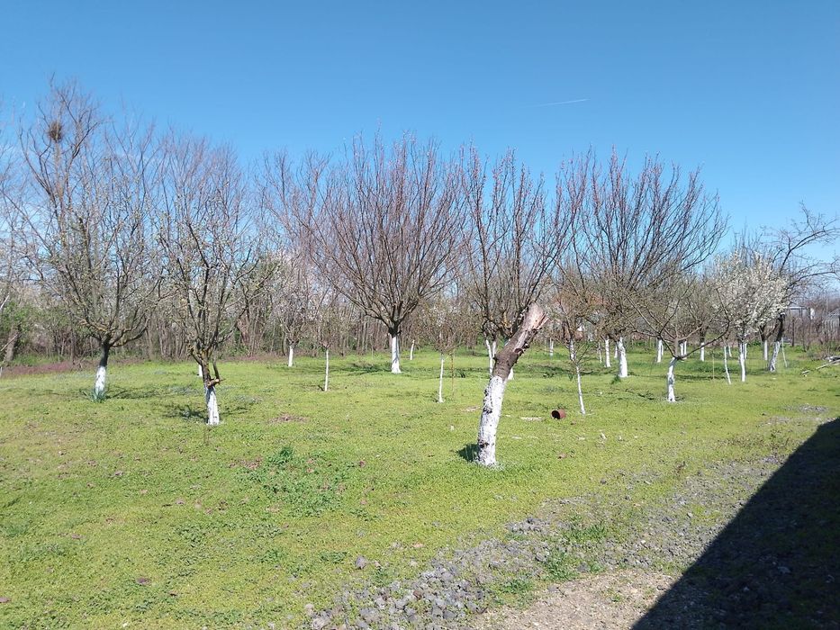 Casă bătrânească 45km de București