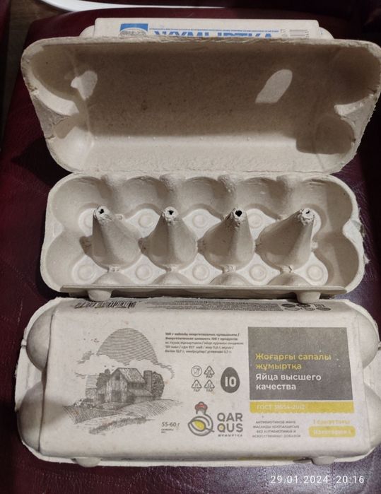 Лотки (коретки) для яиц.