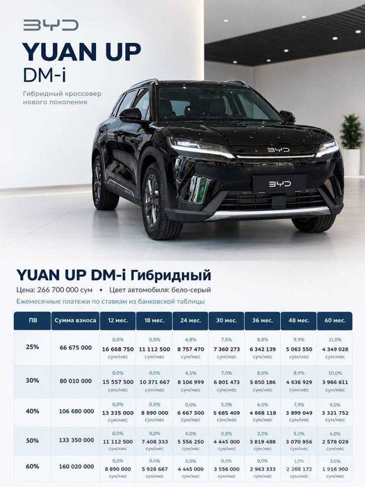 BYD Yuan up Dm-I