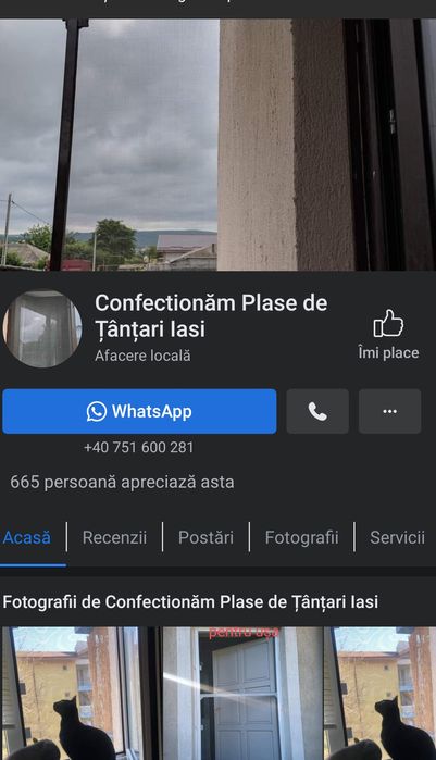 Plase insecte / țânțari, prețuri in anunț