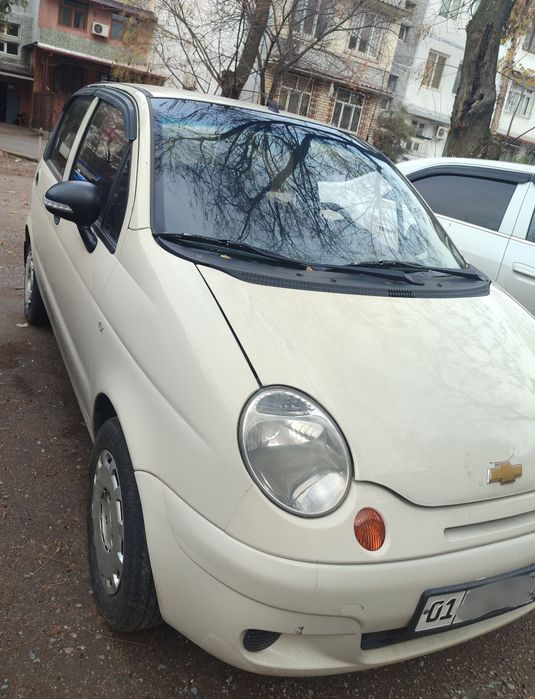 Матиз сотиладии.