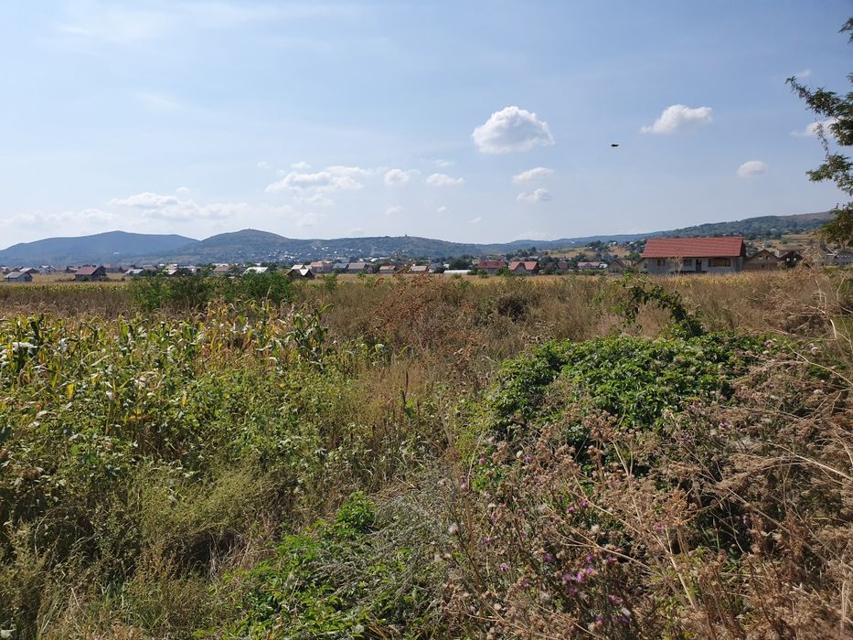 Vand Teren intravilan 5800mp, 48m Deschidere