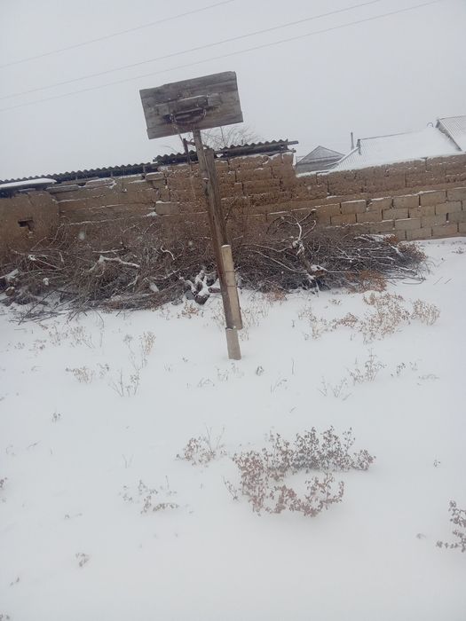 ТӨРТКҮЛ ауылында Уй сатылады.