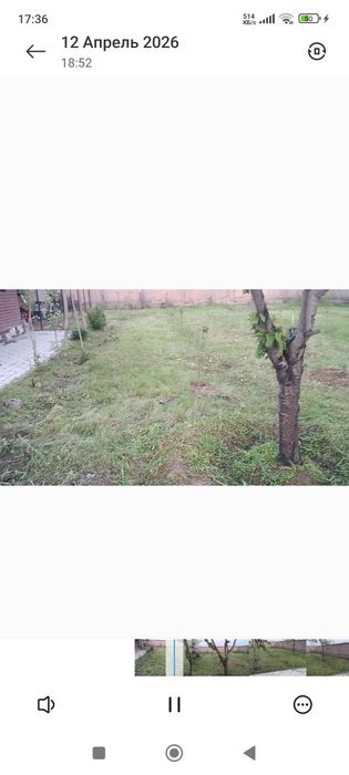 Тошкент вилояти Тойтепа Акмал Икром дала ховли
ҚУРУҚ ЙЕР, ТЕПЛИЦА ПАРН