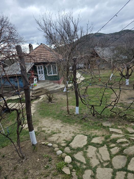 Case plus teren 3750m2