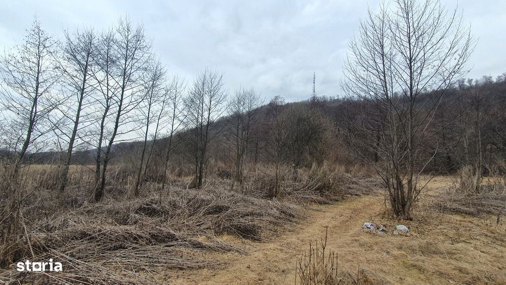 Teren Stana de Vale Sovata - Telek Patakmajor