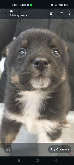 Мальчик - красавчик в добрые, надёжные руки