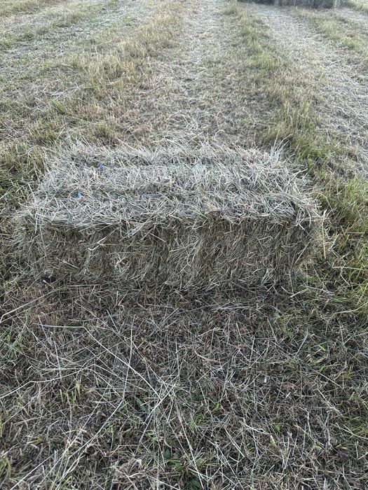 Vând baloți de fân