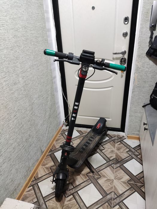 Самокат Tribe maya сатамын