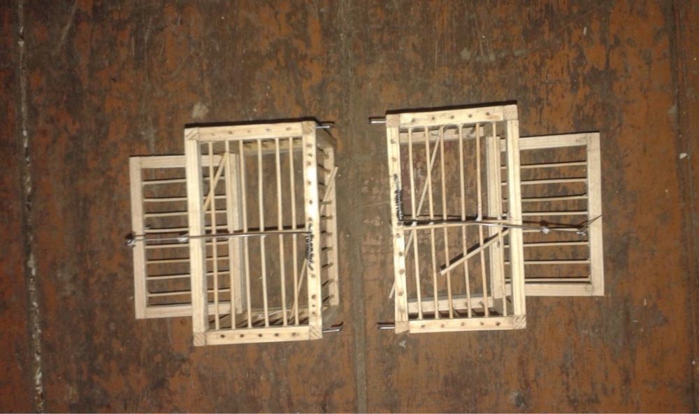 Ловушки хлопки для птиц