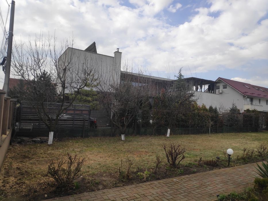 Curatare, întreținere gradini, taiete copaci, defrisari, tocare crengi