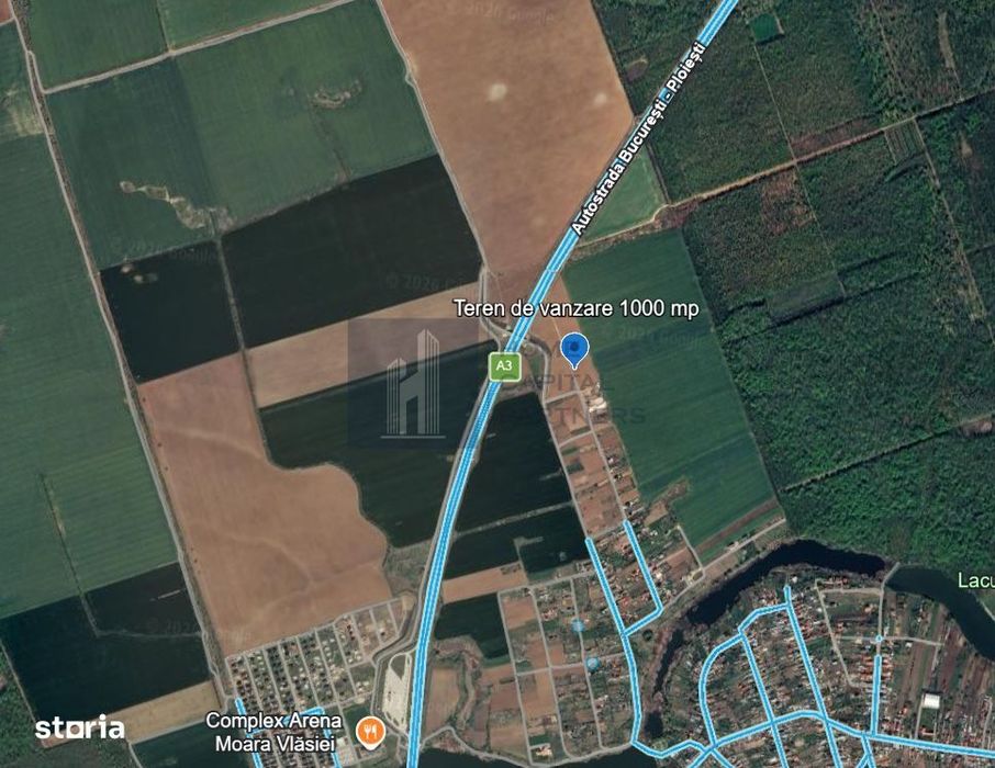 Teren de vanzare Moara Vlasiei
