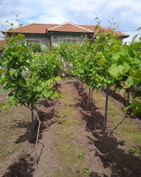 Продава се Къща в Пловдив, Западен - 115 кв.м за 522 €/кв.м - Снимка #1