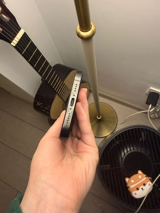 Iphone 16 Pro Max / 100% / Black / Cutie + Incarcator