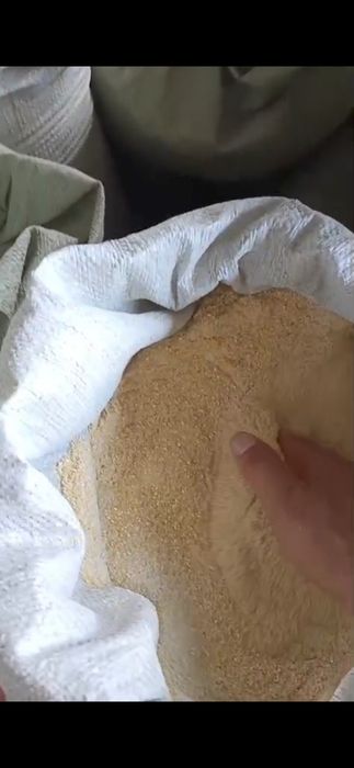 Жарылған жүгері, дробленная кукуруза