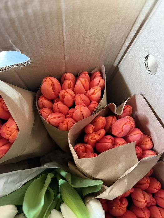 Тюлпаны на 8 марта