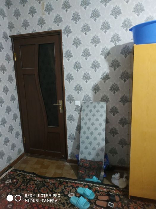 Algoritm da qizlar uchun Ijara