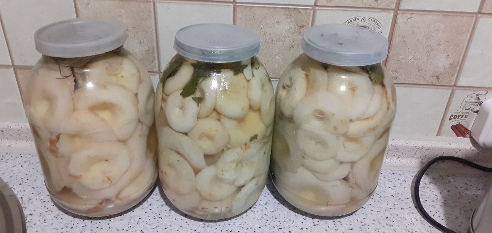 Продаю грибы солёные