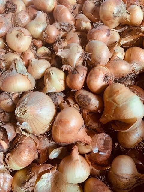 Vând ceapă galbenă – 800 kg