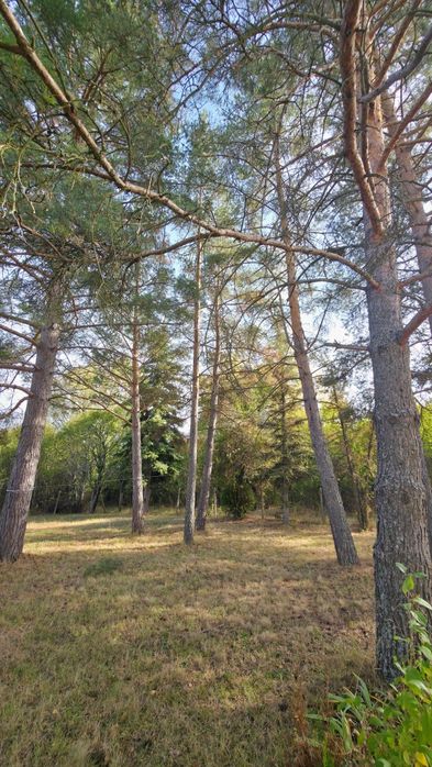 Продава се Къща в с. Негованци, Област Перник - 84 кв.м за 1137 €/кв.м - Снимка #20