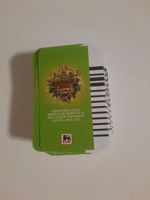 Cartonase Expeditie in jurul lumii 1
