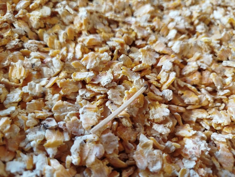 Хлопья плющенной кукурузы