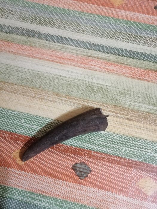 Говежди рог, животински. И от сръндак.