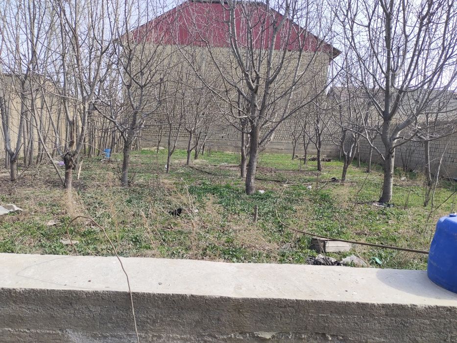 Участка Ражабамин 7 соток  дакументи ест ок