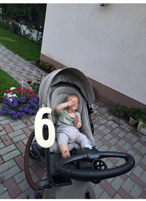 Carut stokke 2 în 1